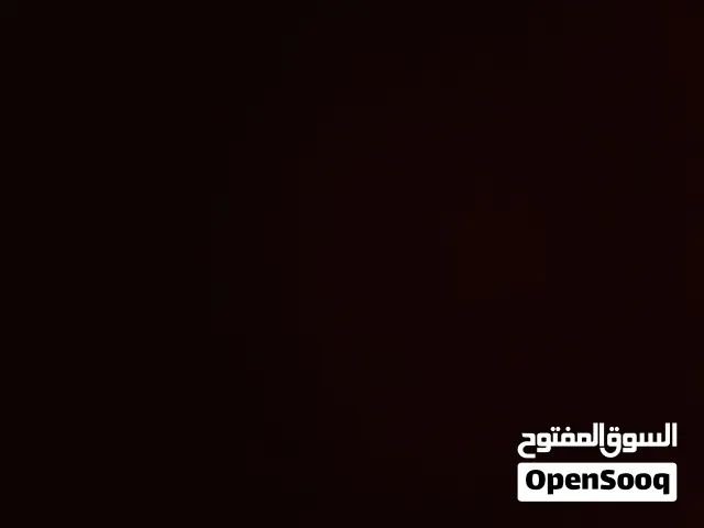 Apple iPhone 11 Other in Amman