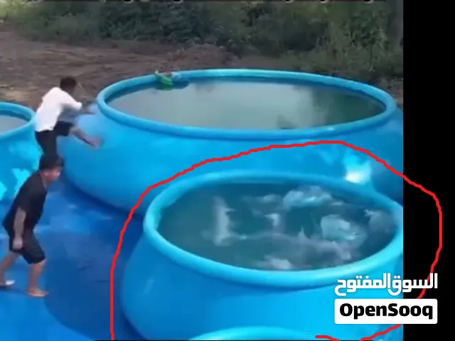سلام عليكم , عندي مسبح قياسه 305 سم في 61 سم أشتريته قبل إسبوع تارسيه مرة وحده الله شاهد