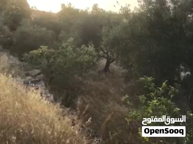 قطعة أرض مميزة ورائعة في الخليل
