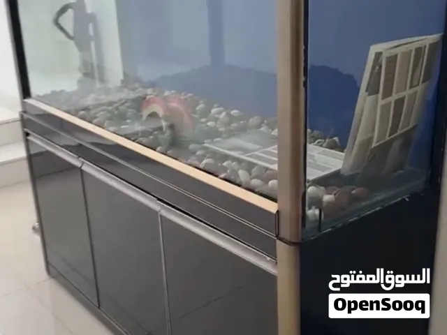 حوض سمك للبيع بحالة جديدة