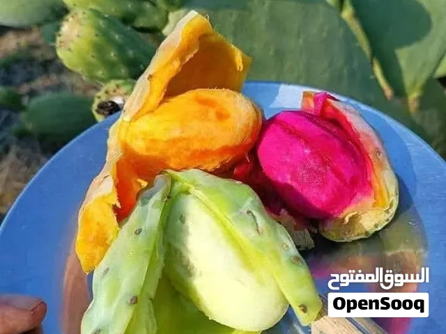 صبر هجين الوان