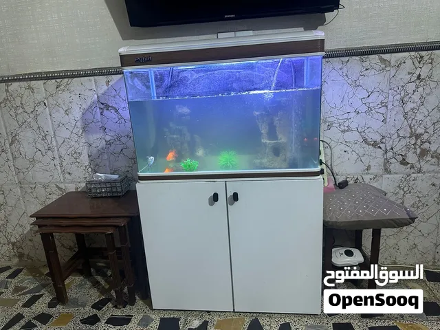 حوض سمك للبيع