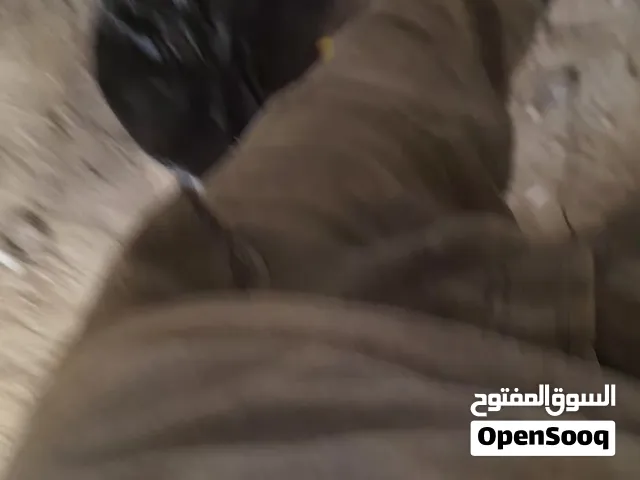 سباك خدمه مشا الله وسعاؤ مناسبه