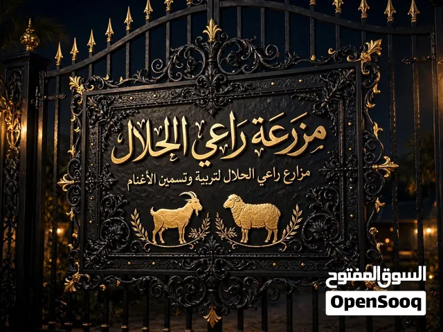مزرعة راعي الحلال للبيع الاغنام