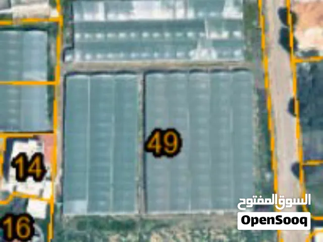 أرض للبيع بزيتا طولكرم تصنيف A داخل الخارطة الهيكلية واصل جميع الخدمات تصلح لمشاريع واسكانات