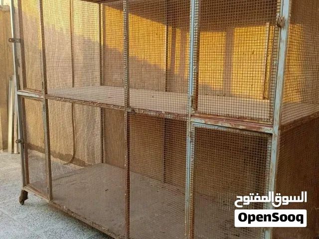 سلام عليكم عندي قفص الدجاج