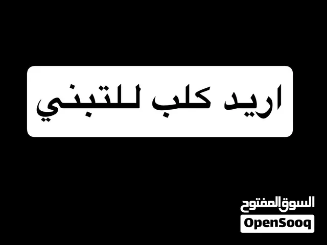 اريد كلب للتبني