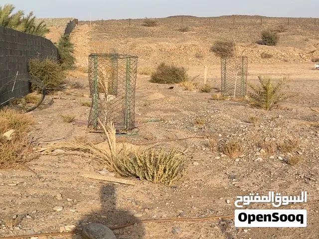 أرض زراعية للاستثمار