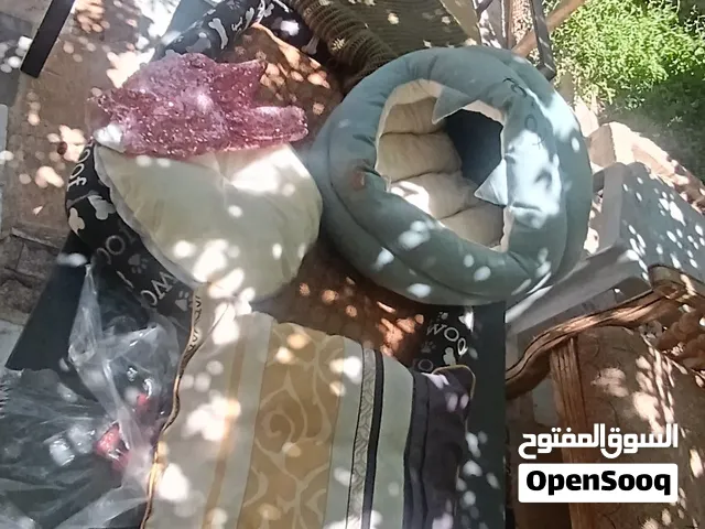 مستلزمات قطة