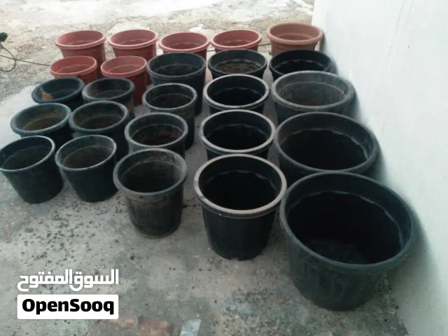 قوار زريعه جميع الاحجام و كميه كبيره