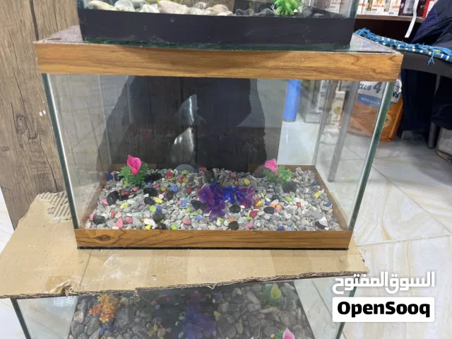 احواض سمك عروض خيالية