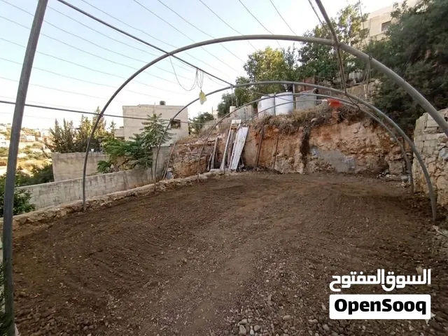 للبيع: هيكل بيت زراعي (مشتل أقواس) بحجم 8×10 متر - صالحية العابد