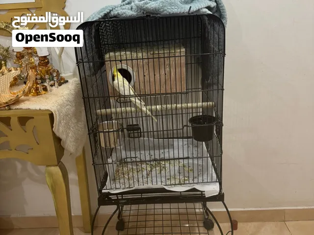 القفص للبيع