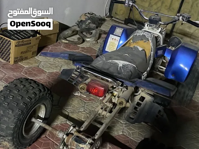 ابحث عن بانشي حتى لو سكراب