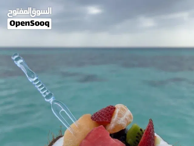 كابتن قارب يبحث عن عمل في مجال القوارب واليخوت بالإمارات