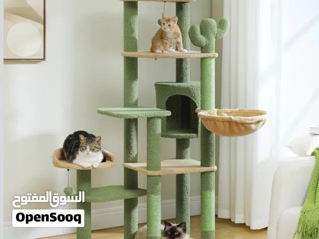 برج وشجرة قطط مستعمل نظيف جداً بتصميم الصبار المميز