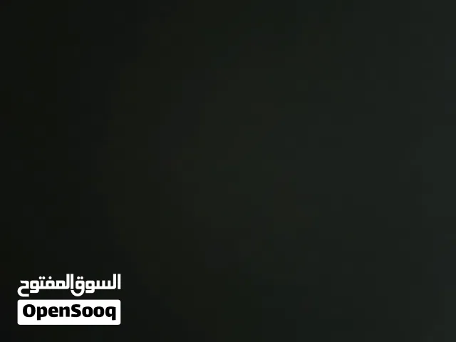 مطلوب كلب الاسكه لي التبني صغير