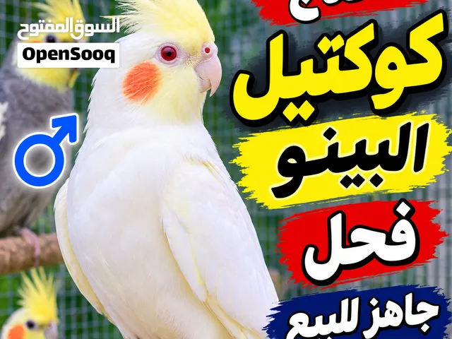 العنده يراسلني خاص وكون ممنون منه