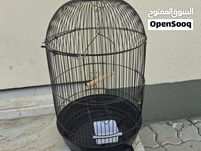 قفص طيور ببغاء كوكتيل والكتاري