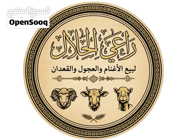 لبيع اغنام وعقدان و عجول