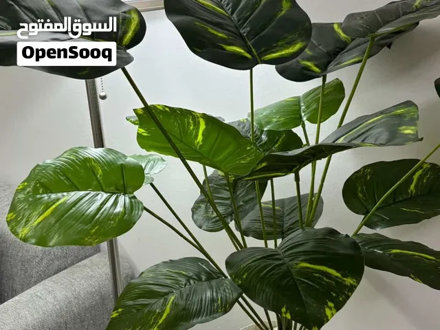 قوارة صناعية بتشبه الطبيعية مع قوارة عالية الجودة مصبوبة في جبصين وثقيلة