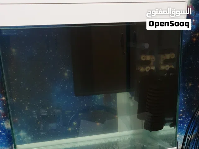 حوض سمك كبير زجاجي، big glass fish aquarium