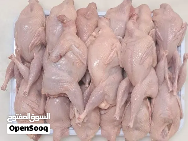 طائر السمان مذبوح منضف حاهز للاكل