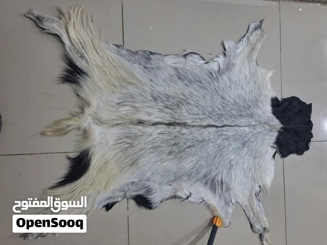 جلود ماعز طبیعه