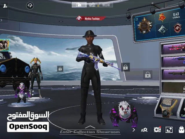 Pubg Accounts and Characters for Sale in Basra