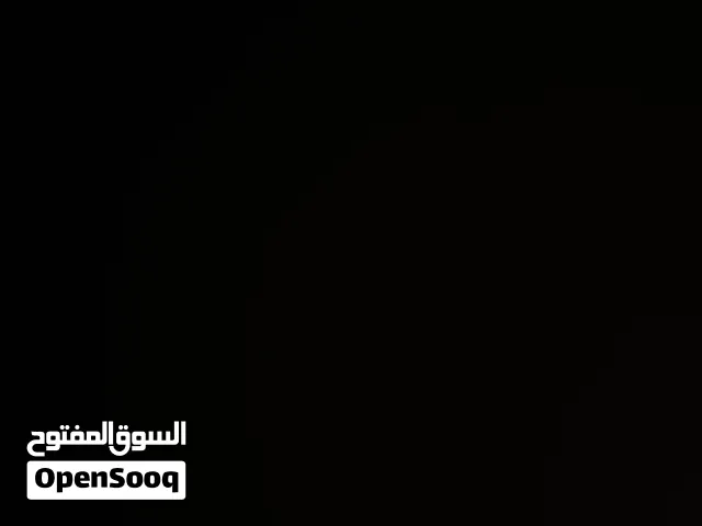 مطلوب ببغاء دره البف هندي بعمر 8 اشهر