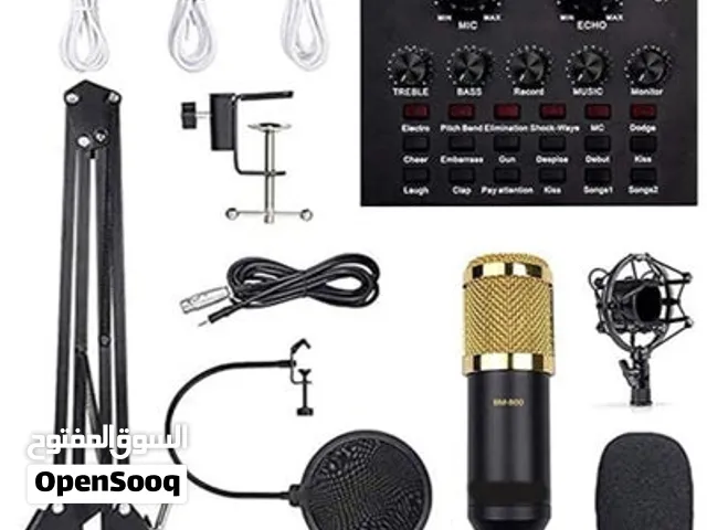 ميكروفون مكثف احترافي Professional Condenser Microphone 800-BM.