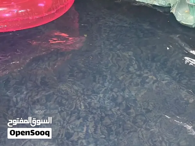 مسبح للبيع