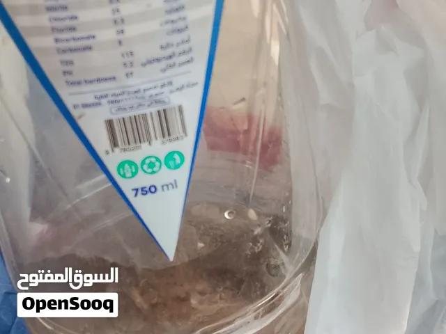 ضفدع للبيع