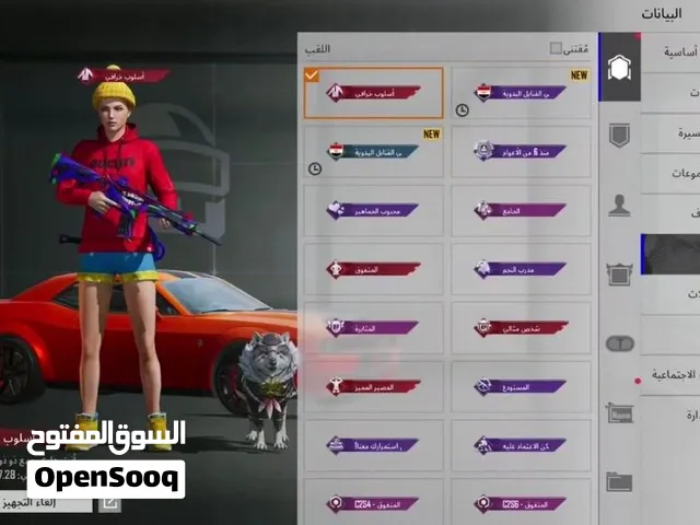 Pubg Accounts and Characters for Sale in Wasit