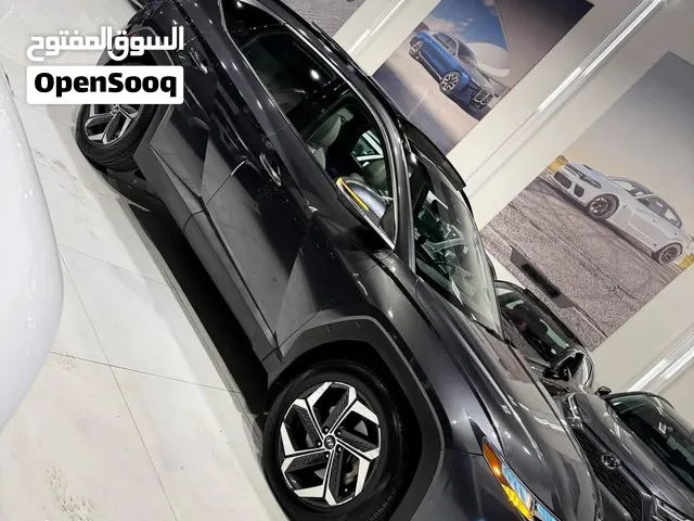 توسان 2023 اخو الكلين اعلو فئه فول الفول