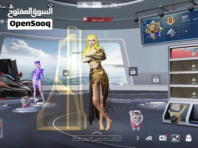 Pubg Accounts and Characters for Sale in Misrata