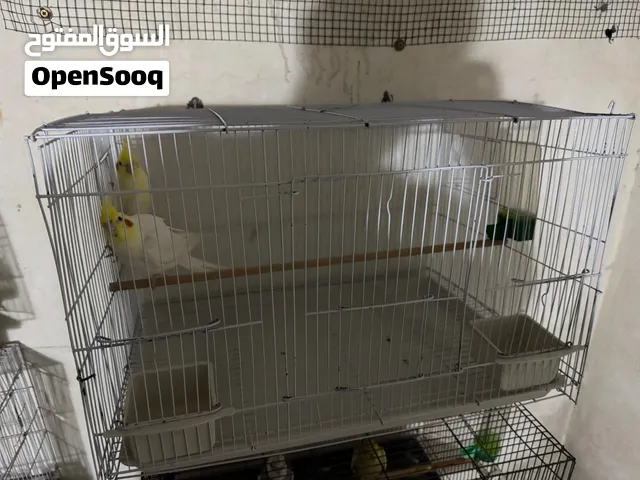 كوبيات كوكتيل مصوقرات بضمان