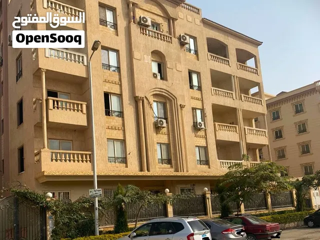 Luxury apartment for renting in a a quite elegant place in South Lotus