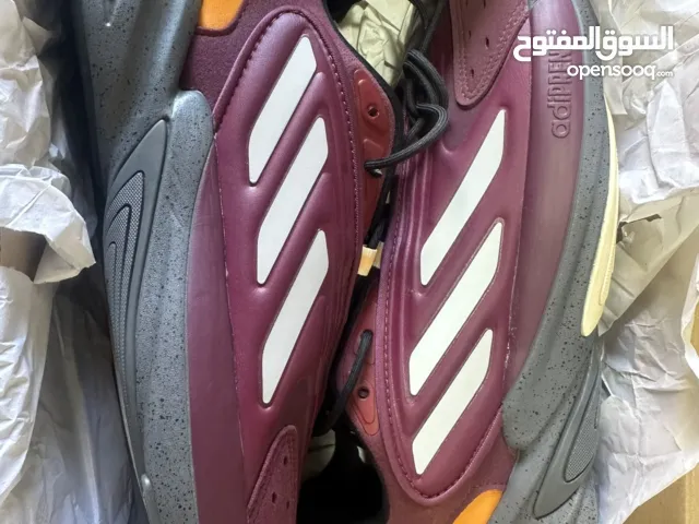 كويش Adidas Ozelia Original