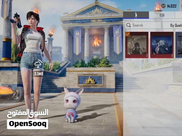 Pubg Accounts and Characters for Sale in Basra