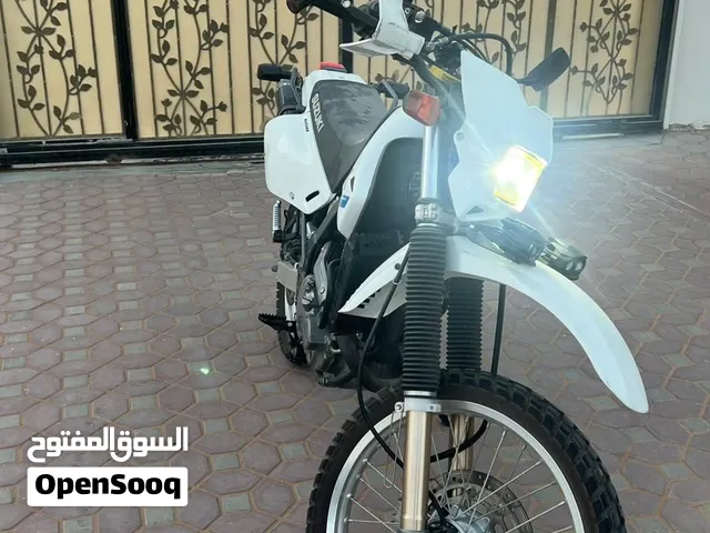 Suzuki DR-650