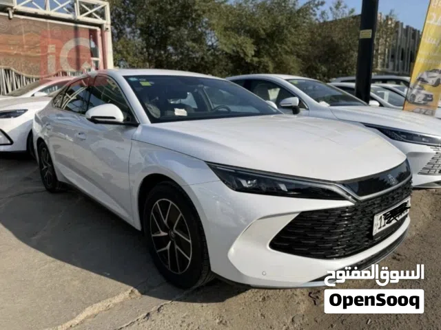2024 بي واي دي اخرى