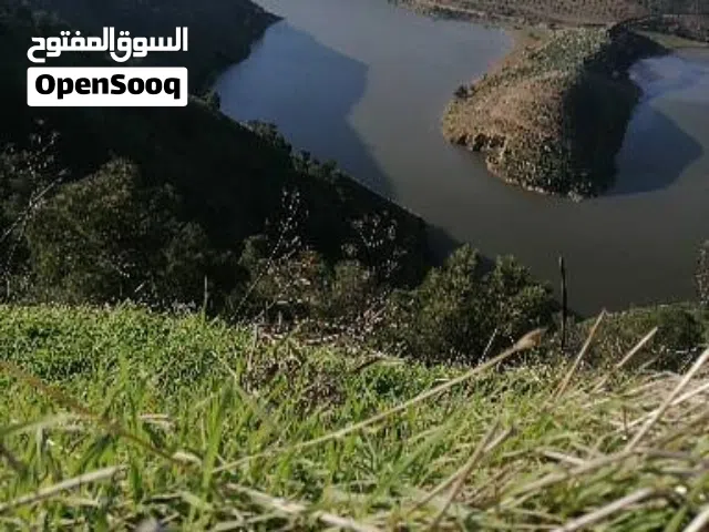 Farm Land for Sale in Jerash Al-Mastaba