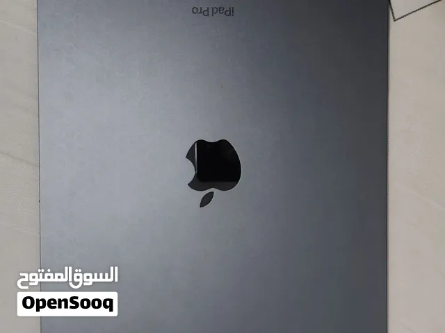 IPad M4 wifi + cellular 256gb