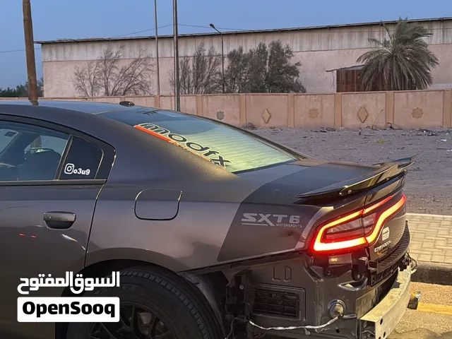 ويل 18 بيع او مراوس