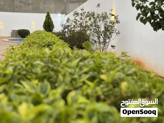 استراحة للإيجار اليومي في بوهادي شارع بوابه الصاروخ