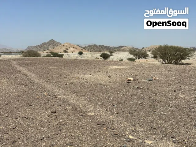 للبيع ارض في العامرات مدينة النهضه مربع 14/2 قريبه البيت و الشارع
