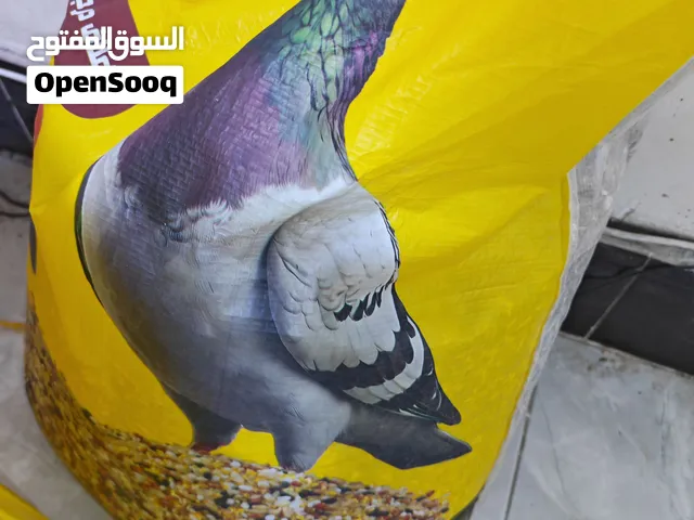 مطلوب لوت طيب  لعنده  يخابرني  شراي بصرة الزبير
