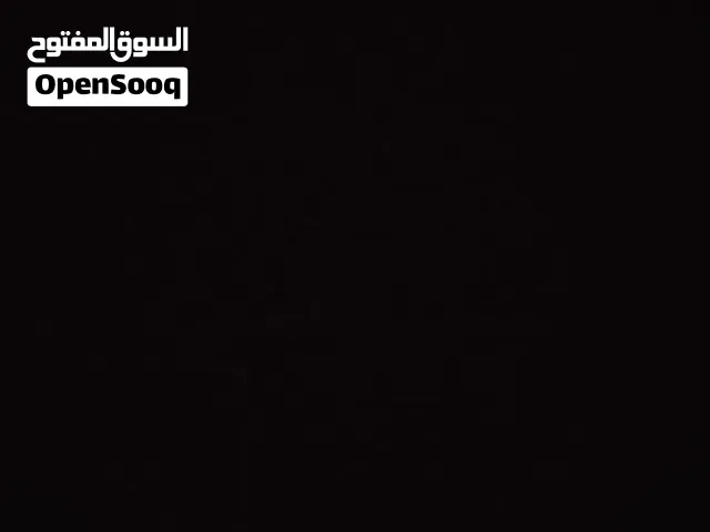 في دجاج استرالي