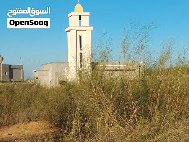 ارض البيع في وادي الربيع